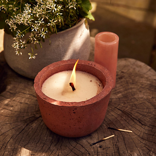 View larger image of Ceramic Bowl Candle, Basil Citronella
