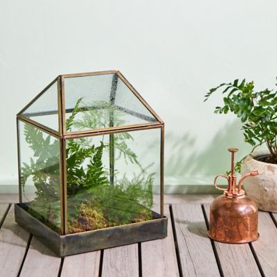 House Cloche with Brass Base