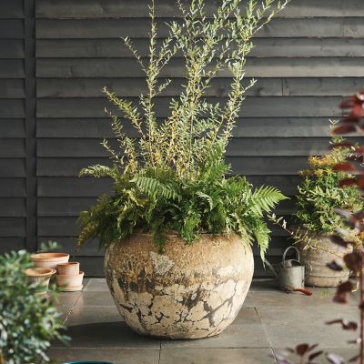 Barnacle Tall Modern Pot, 16