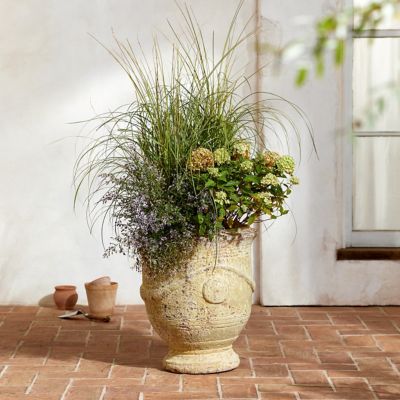 Barnacle Tall Modern Pot, 16