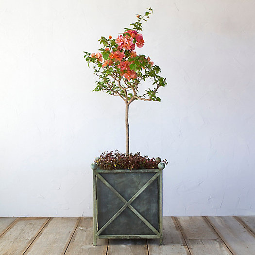 View larger image of Iron Cross Frame Planter