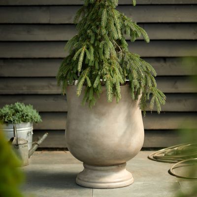 Extra Large (22-29) Indoor Planters