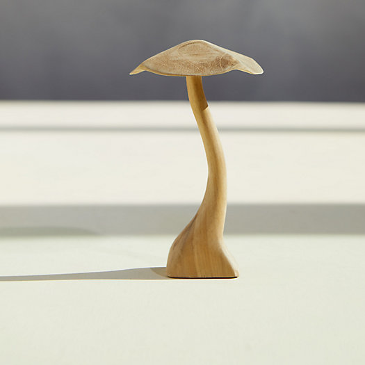 View larger image of Teak Mushroom, Small