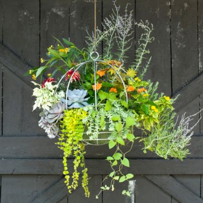 Zinc Sphere Hanging Basket, 16" Terrain