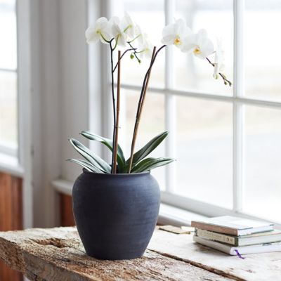 Charcoal Ceramic Rounded Planter