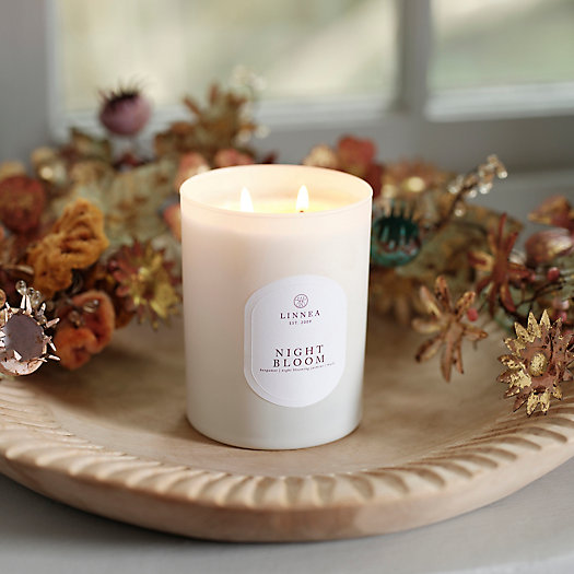 View larger image of Linnea Candle, Night Bloom