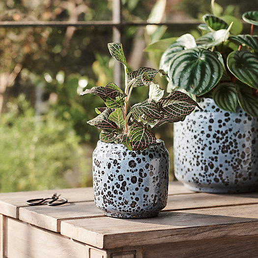 View larger image of Spotty Ceramic Planter, 4"