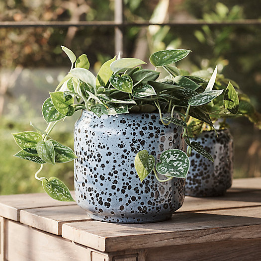 View larger image of Spotty Ceramic Planter, 6"