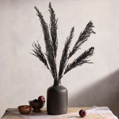 Preserved Pampas Grass, Black - Terrain