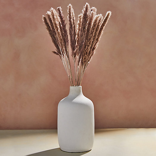 View larger image of Preserved Fluffy Pampas Grass Bunch