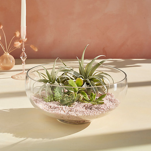 View larger image of Low Rounded Bowl Terrarium
