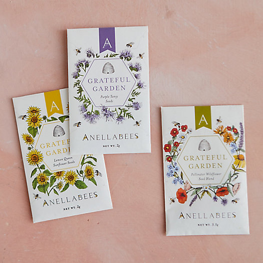 View larger image of Anellabees Pollinator Seed Packets, Set of 3