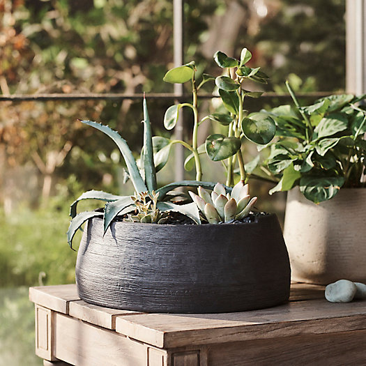 View larger image of Notched Ceramic Low Bowl Planter