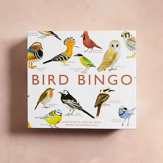 View larger image of Bird Bingo