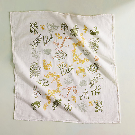 View larger image of Lichen Forest Dish Towel