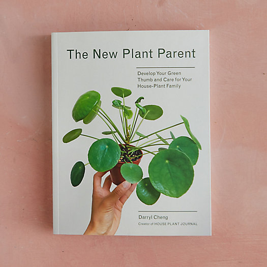 View larger image of The New Plant Parent