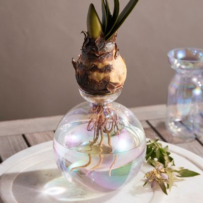 Iridescent Glass Round Bulb Vase