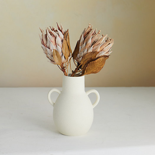 View larger image of Dried King Protea Stems, Blush Set of 2