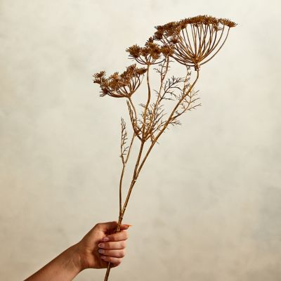 queen annes lace arrangement