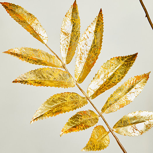 View larger image of Faux Gilded Fern Leaf Spray