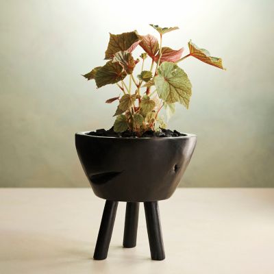 Footed Reclaimed Teak Root Pot