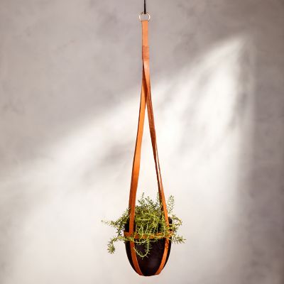 Hanging Teak Root Pot with Leather Straps