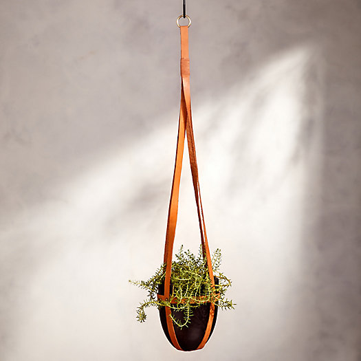 View larger image of Hanging Teak Root Pot with Leather Straps