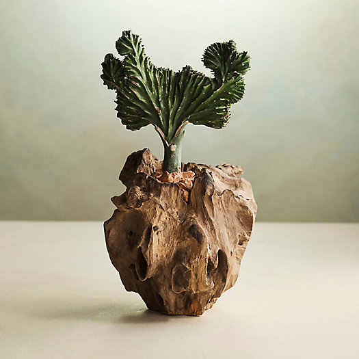 View larger image of Teak Root Form Planter, 4"