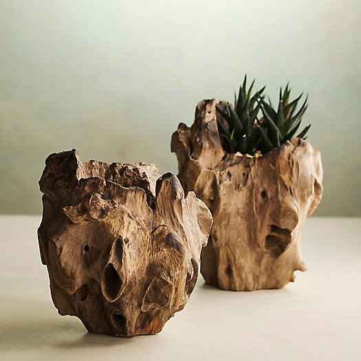 View larger image of Teak Root Form Planter, 4"
