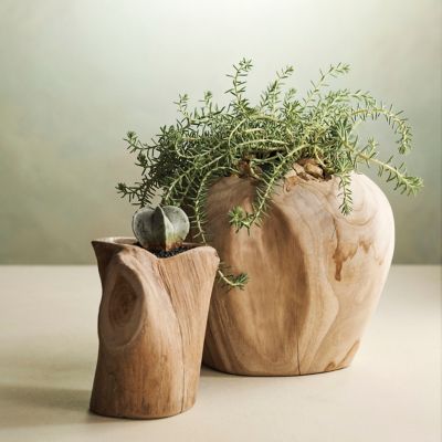 Knotted Teak Root Planter