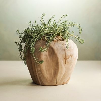 Organic Ceramic Tabletop Planters