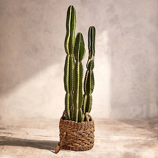 View larger image of Woven Braided Handled Planter, 16"