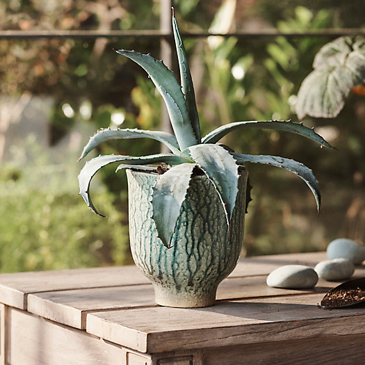 View larger image of Drippy Ceramic Tulip Planter, 6"