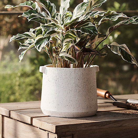 View larger image of Speckle Knob Planter, 7"
