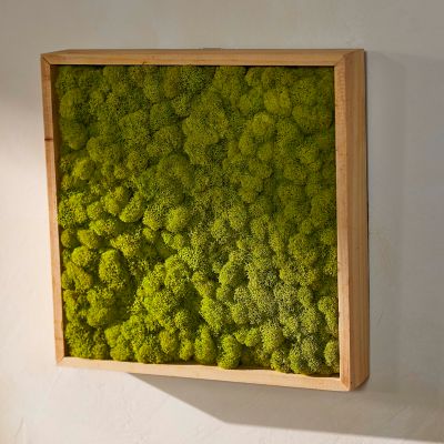 Preserved Reindeer Moss Box - Terrain