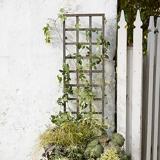 View larger image of Iron Wall Trellis
