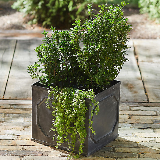 View larger image of Frame Galvanized Square Planter, 11"