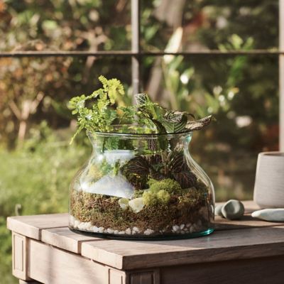 Bowl Recycled Glass Terrarium Terrain