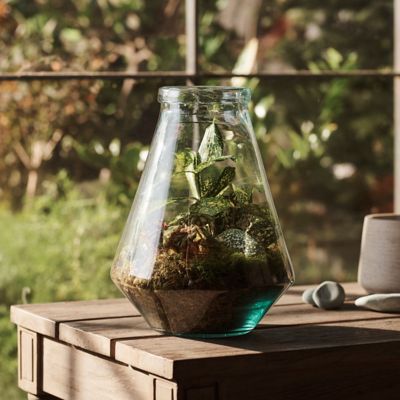 Conical Recycled Glass Terrarium