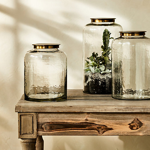 View larger image of Hammered Glass Terrarium with Lid