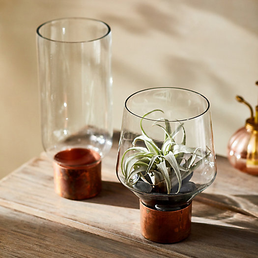 View larger image of Copper Collar Terrarium, Tall