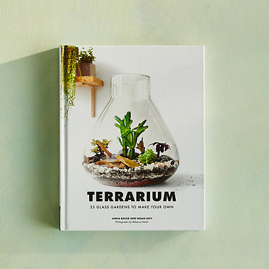 View larger image of Terrarium