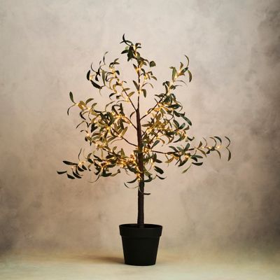 Stargazer Nature Effects LED Faux Olive Tree
