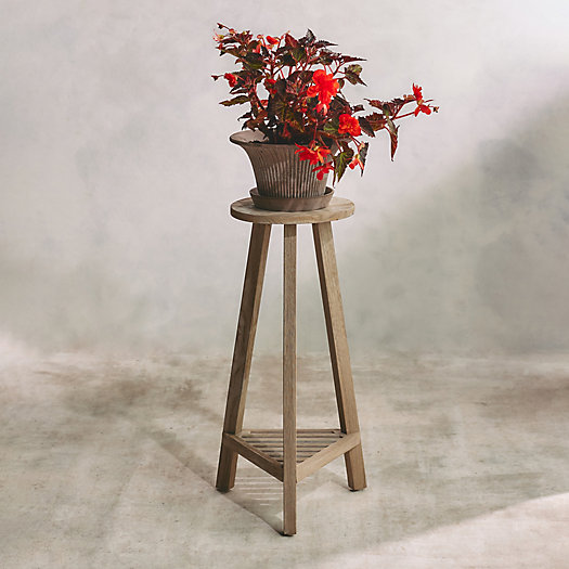 View larger image of Teak Plant Stand