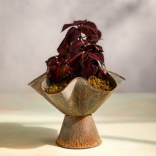 View larger image of Handkerchief Urn Planter