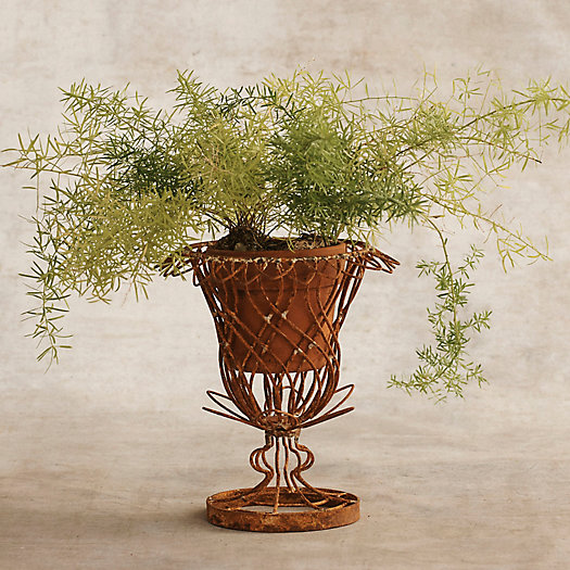View larger image of Aged Iron Wire Tulip Urn