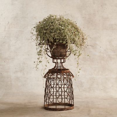 Aged Iron Wire Collared Plant Stand