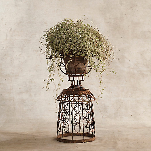 View larger image of Aged Iron Wire Collared Plant Stand