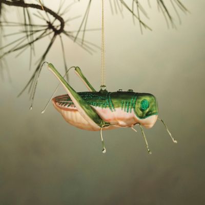 Grasshopper Glass Ornament