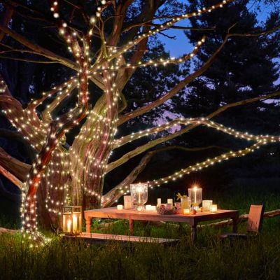 Shop the Look: Night Lights with Crazyvine Spheres + Stargazer Lights - Terrain